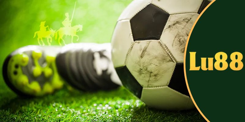 kinh nghiệm soi kèo rung từ cao thủ