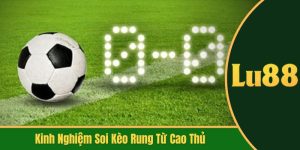 kinh nghiệm soi kèo rung từ cao thủ