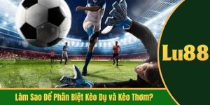 làm sao để phân biệt kèo dụ và kèo thơm